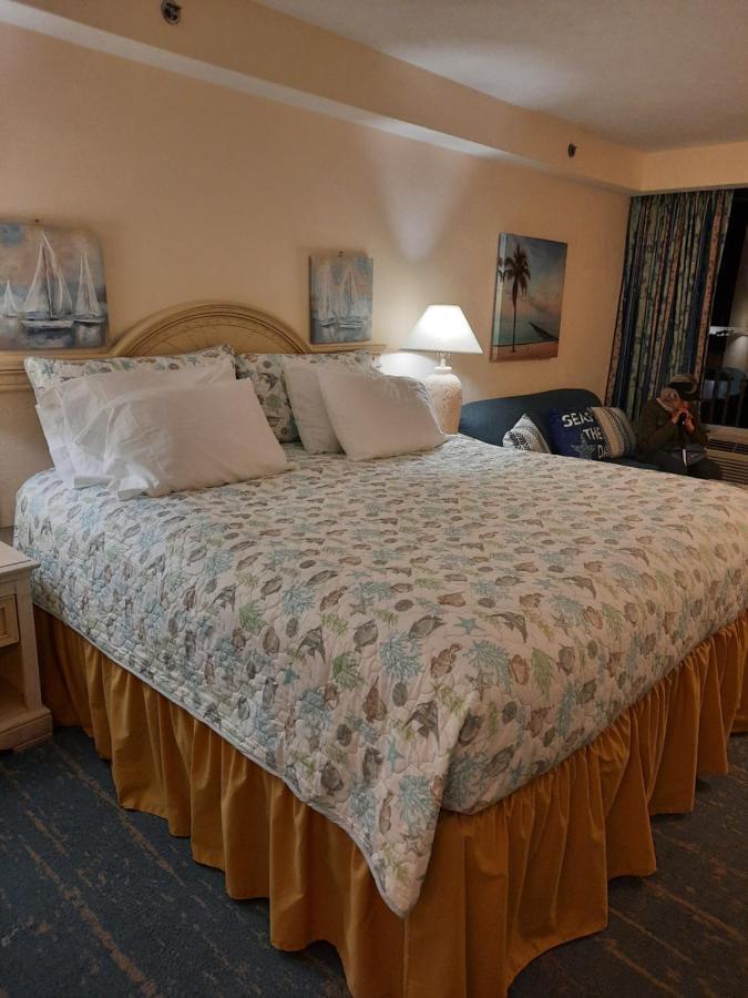 A Happy Seashell Story Aparthotel Παραλία Ντειτόνα Εξωτερικό φωτογραφία